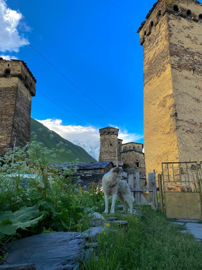 Nizharadze'S Tower Ushguli Exterior foto