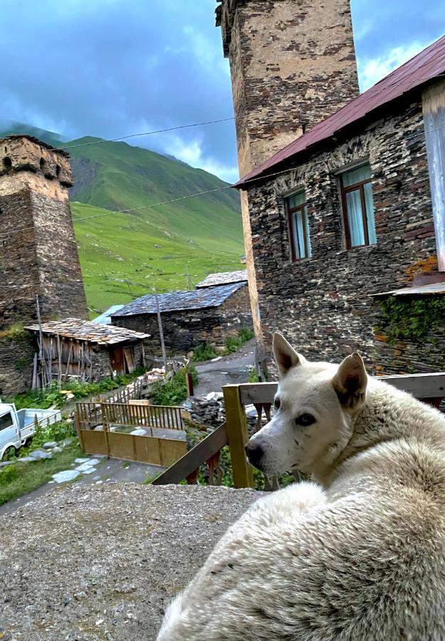 Nizharadze'S Tower Ushguli Exterior foto